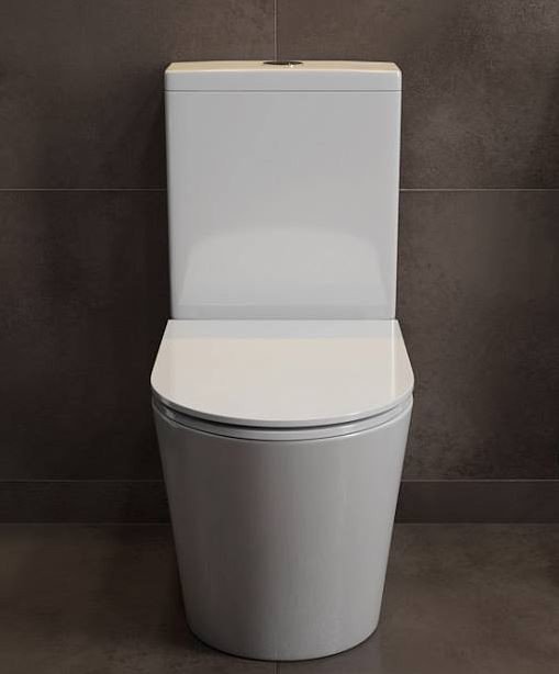 Унитаз напольный с бачком Maretti Florenza FL10NBM17-844 безободковый с микролифтом