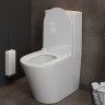 Унитаз напольный с бачком Maretti Florenza FL10NBM17-844 безободковый с микролифтом