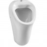 Писсуар VitrA Arkitekt 6202B003-0198 подвод воды сверху