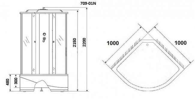 Душевая кабина Niagara NG-709-01N 100*100