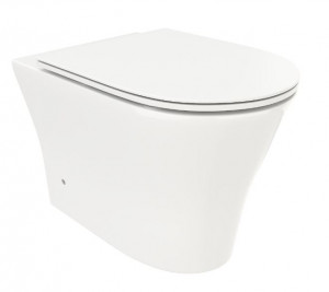 Унитаз приставной Cerutti SPA Adige F CT8907 безободковый с микролифтом