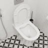 Унитаз приставной Cerutti SPA Adige F CT8907 безободковый с микролифтом