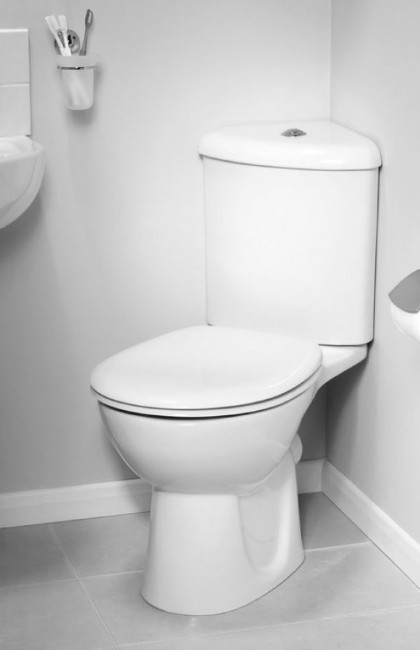 Сиденье для унитаза Vitra Arkitekt 115-003-001 (800-003-001) без микролифта