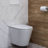 Унитаз подвесной Maretti Florenza FL10PBM97-844 безободковый с микролифтом