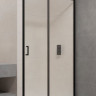 Душевая дверь RGW PA-14B 100 41081410-14 прозрачное