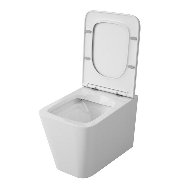 Унитаз подвесной безободковый OWL Vatter Ruta-H с микролифтом OWLT190401