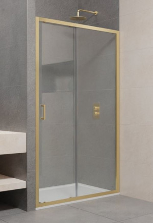 Душевая дверь RGW PA-14G 100 41081410-16 прозрачное