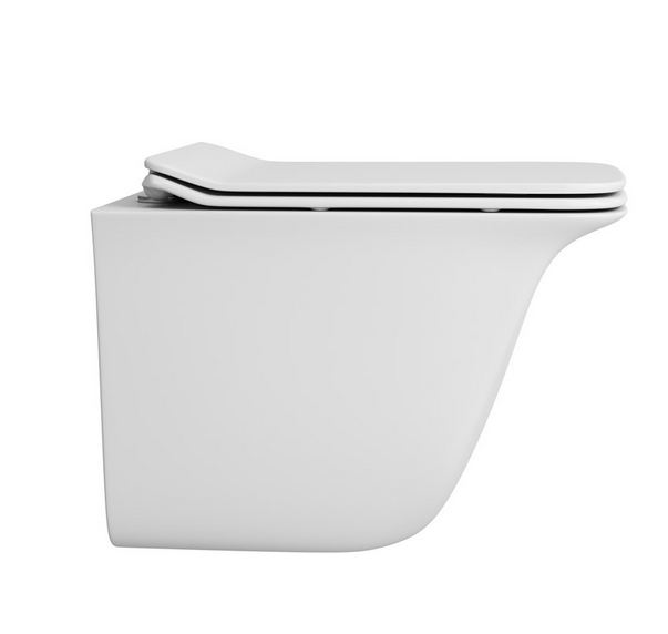 Унитаз подвесной безободковый OWL Eter Ruta-H с  микролифтом OWLT190203