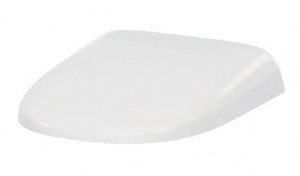 Сиденье для унитаза Am.Pm Sensation C307851WH с микролифтом