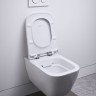 Унитаз подвесной Geberit Smyle Square 500.683.01.1 безободковый с микролифтом