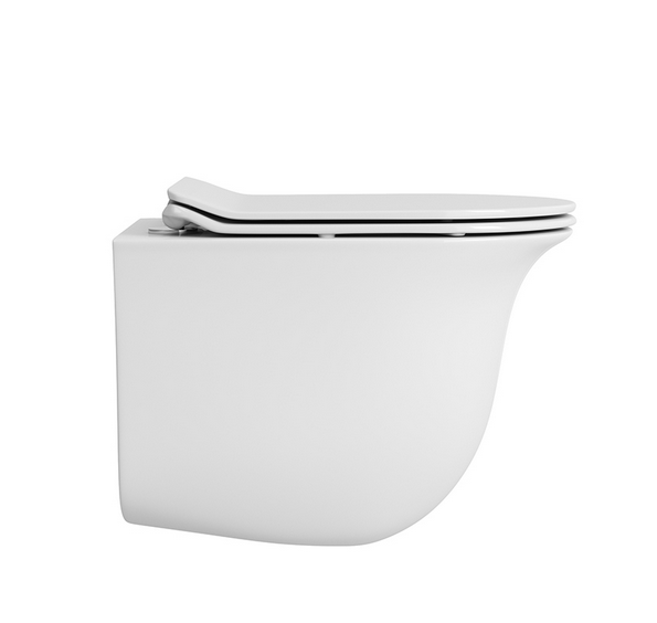 Унитаз подвесной безободковый OWL Eter Cirkel-H с микролифтом OWLT190201