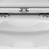 Унитаз подвесной Am.Pm Gem FlashClean C901700SC безободковый с микролифтом
