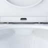 Унитаз подвесной Damixa Skyline DX35C1700SC безободковый с микролифтом