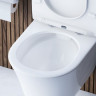 Унитаз подвесной Damixa Skyline DX35C1700SC безободковый с микролифтом