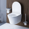 Унитаз подвесной Damixa Skyline DX35C1700SC безободковый с микролифтом