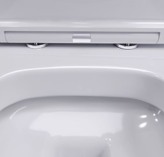 Унитаз подвесной Damixa Sirius DX86C1700SC безободковый с микролифтом