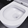 Унитаз подвесной Damixa Sirius DX86C1700SC безободковый с микролифтом