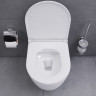 Унитаз подвесной Damixa Sirius DX86C1700SC безободковый с микролифтом