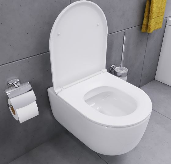 Унитаз подвесной Damixa Sirius DX86C1700SC безободковый с микролифтом