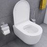 Унитаз подвесной Damixa Sirius DX86C1700SC безободковый с микролифтом