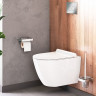 Унитаз подвесной Damixa Apollo DX22C1700SC безободковый с микролифтом