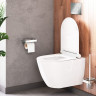 Унитаз подвесной Damixa Apollo DX22C1700SC безободковый с микролифтом