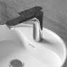 Смеситель NT Bagno NT7711 для раковины
