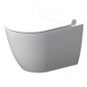 Унитаз подвесной Damixa Scandinavian Pure DX36C1701SC безободковый с микролифтом