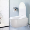 Унитаз подвесной Damixa Scandinavian Pure DX36C1701SC безободковый с микролифтом
