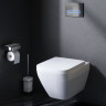 Унитаз подвесной Am.Pm Spirit V2.0 FlashClean C701701SC безободковый с микролифтом